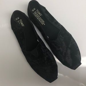 Black Velvet TOMS